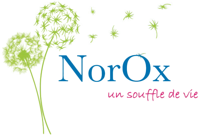 NorOx - Logo